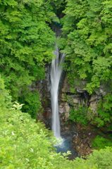 深緑の駒止の滝