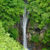 深緑の駒止の滝