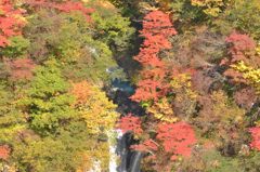 秋色に染まる駒止の滝