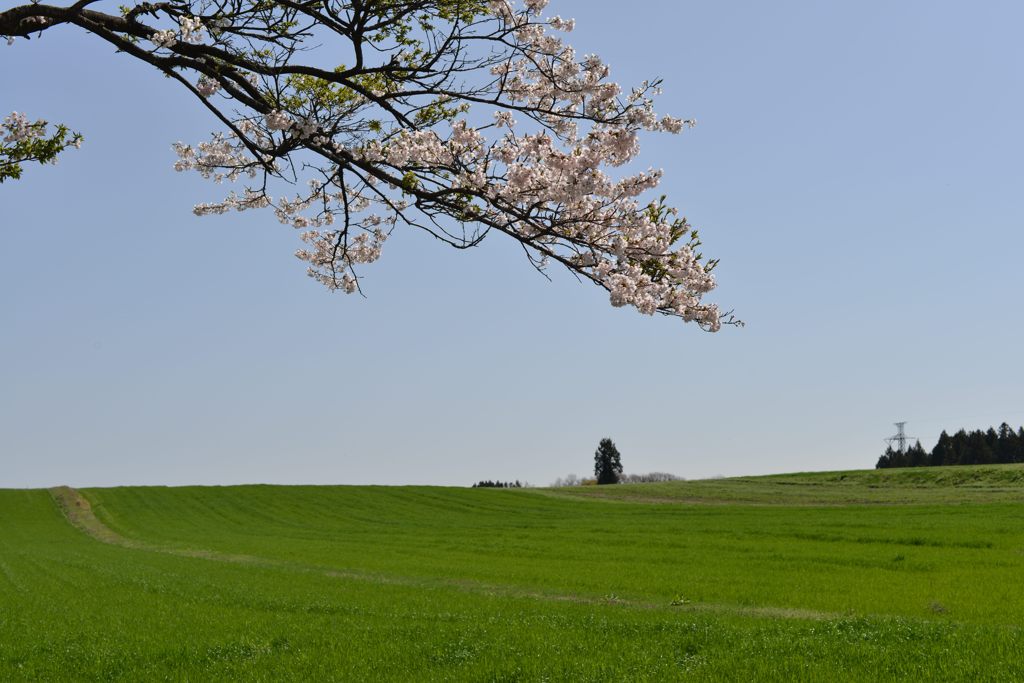 大地のうねり