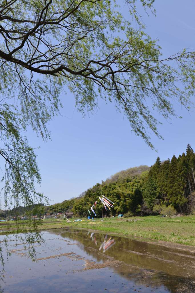 松尾芭蕉俳諧の地　遊行柳