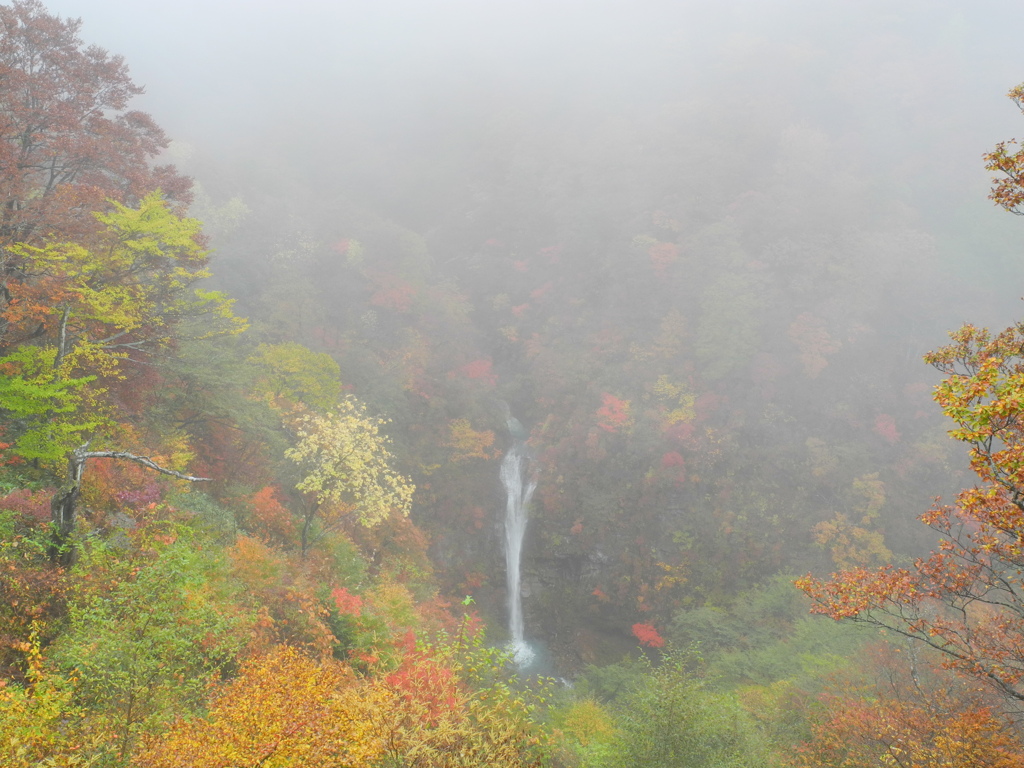 霧中の駒止の滝