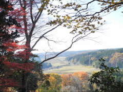 伊王野の田園風景