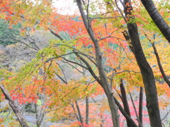 戸中峠1