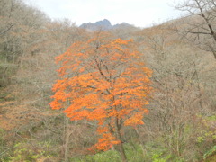 那須朝日岳と紅葉
