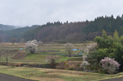 D800E参考画像1