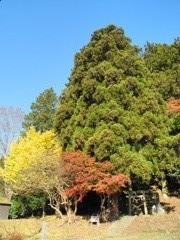 伊王野温泉神社全景