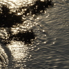 『松。海。光』