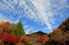 『青空×山×紅葉』
