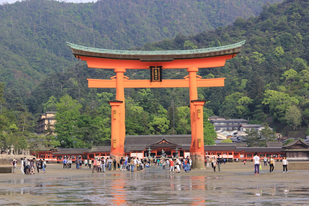 『厳島神社～鳥居・六』