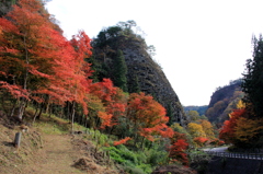 『紅葉～ドライブ』