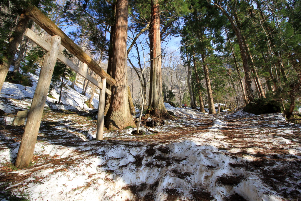 『戸隠神社～奥社・雪道』