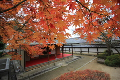 『松山城×二の丸庭園』