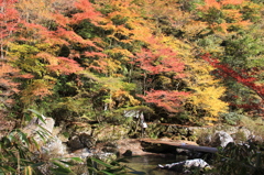 『小田深山渓谷』