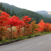 『紅色へ。。。』