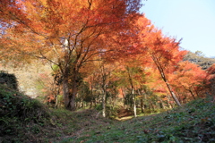 『山×紅葉』