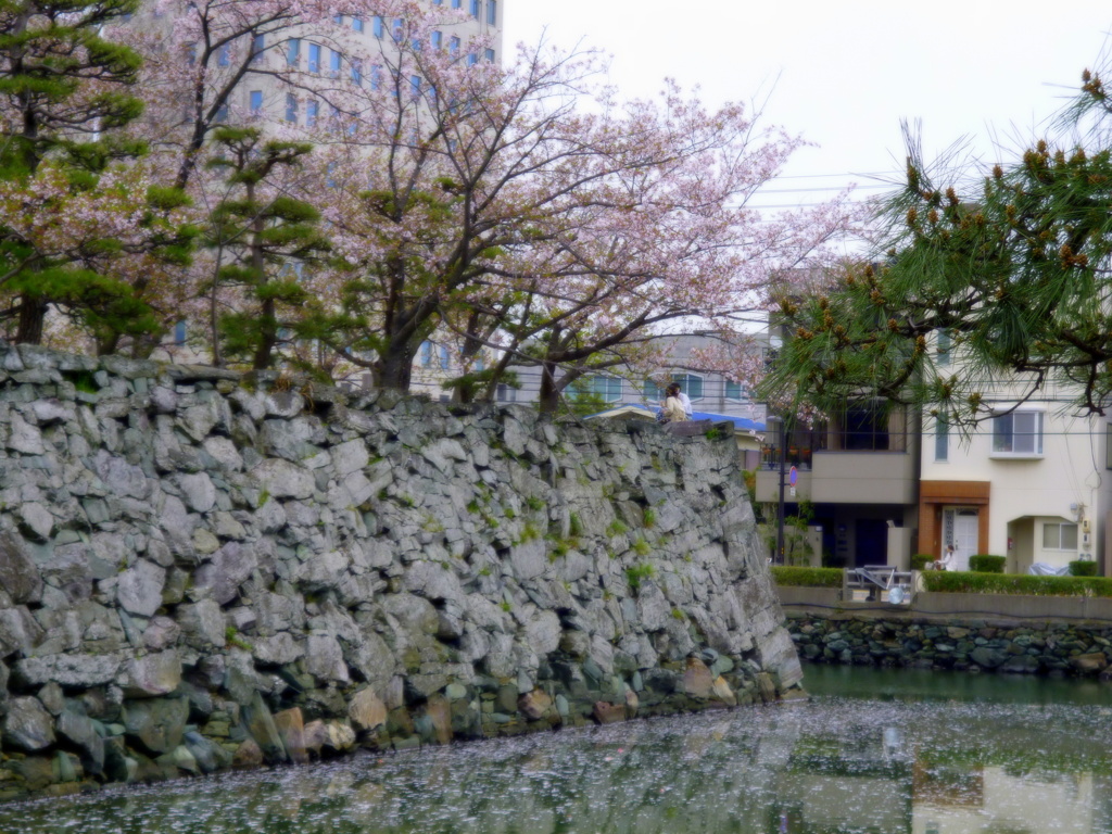 徳島城跡