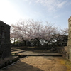 『松山城×石垣×桜』