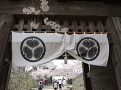 『松山城・桜と門』