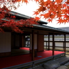 『紅葉×楽しむ×癒し。。。』