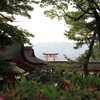 『厳島神社～鳥居・四』