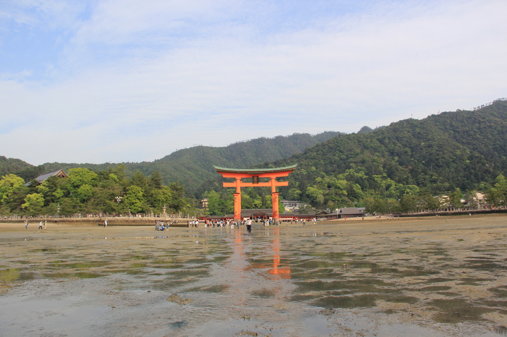 『厳島神社～鳥居・五』
