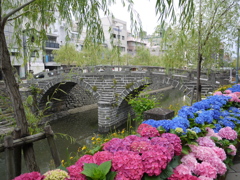 『眼鏡橋。紫陽花。柳^^』