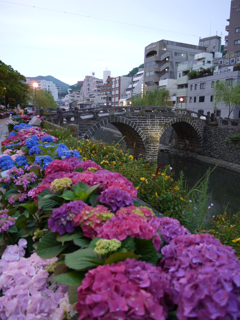 『眼鏡橋〜紫陽花^^』