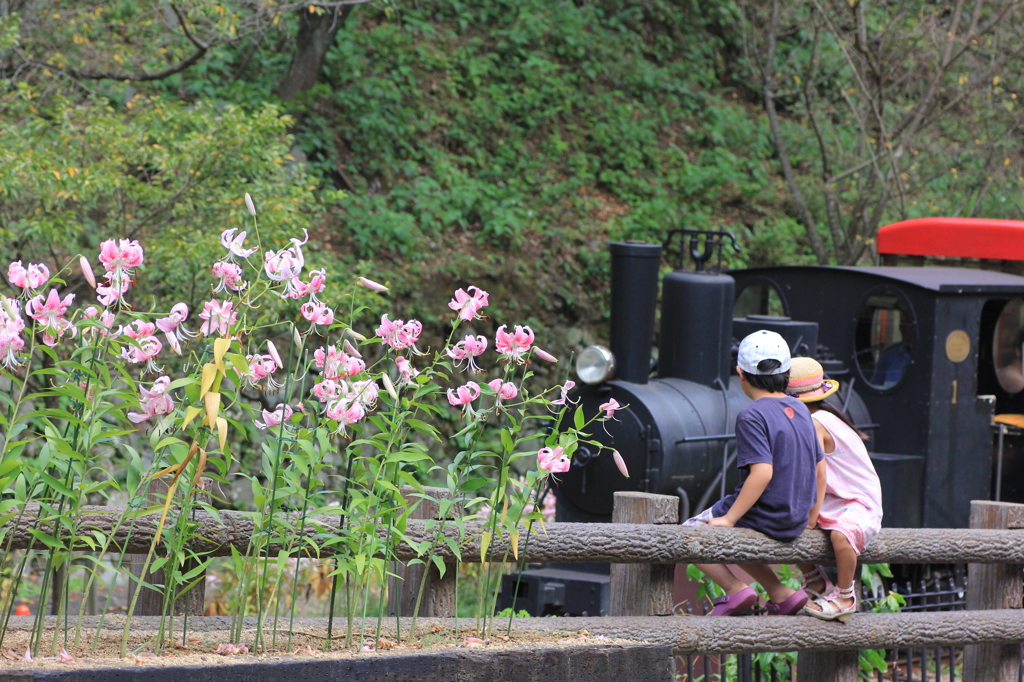 華より電車！