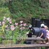 華より電車！