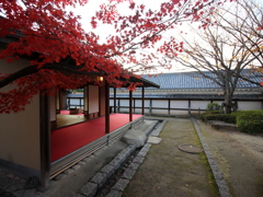 『松山城×茶室×紅葉』