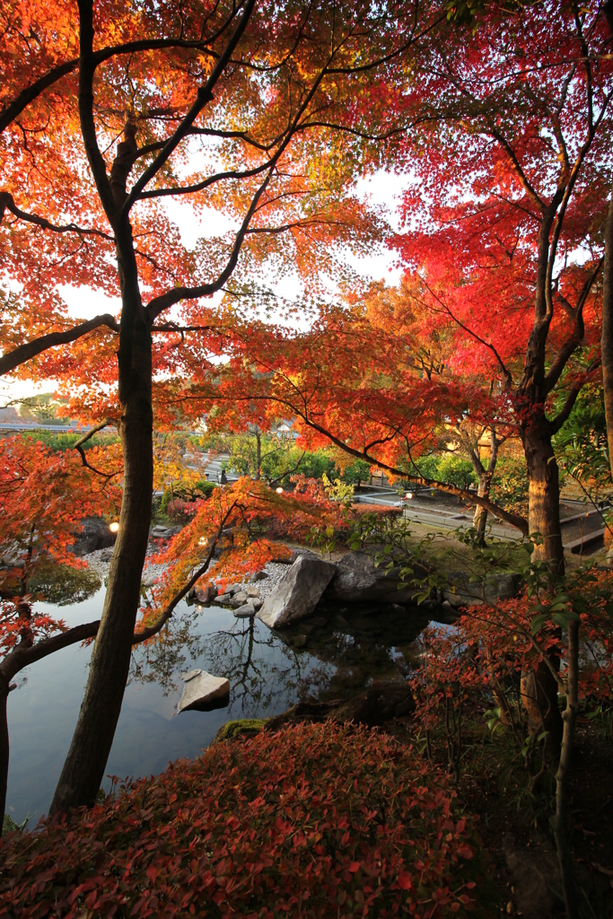 『松山城×二ノ丸×紅葉』