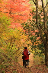 『紅葉～散策⑤』