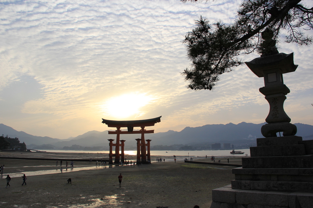 『厳島神社～鳥居・夕景』