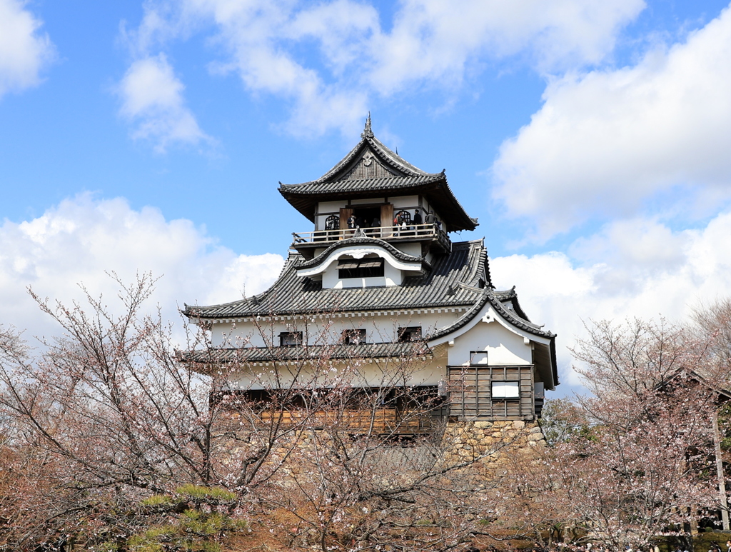 『犬山城×桜、、、』