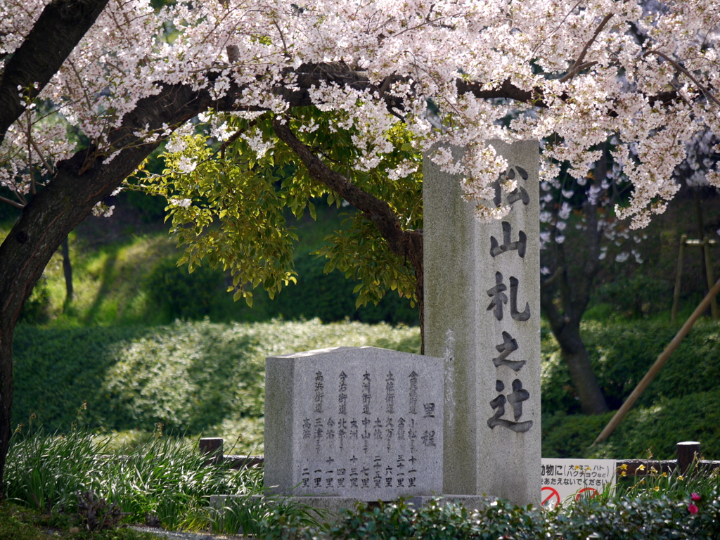 『松山札之辻』