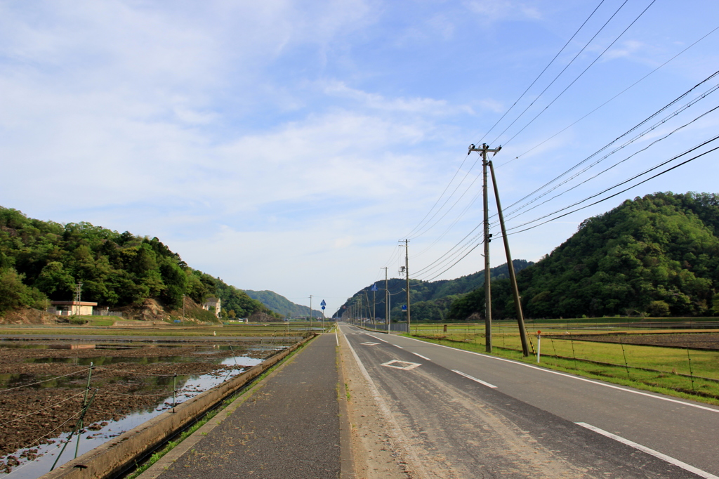 『真っ直ぐ』