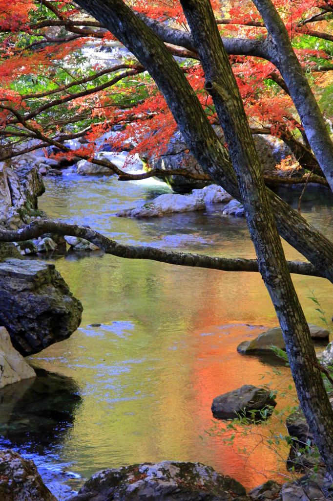 『小田深山渓谷～水面も色づく ^^』