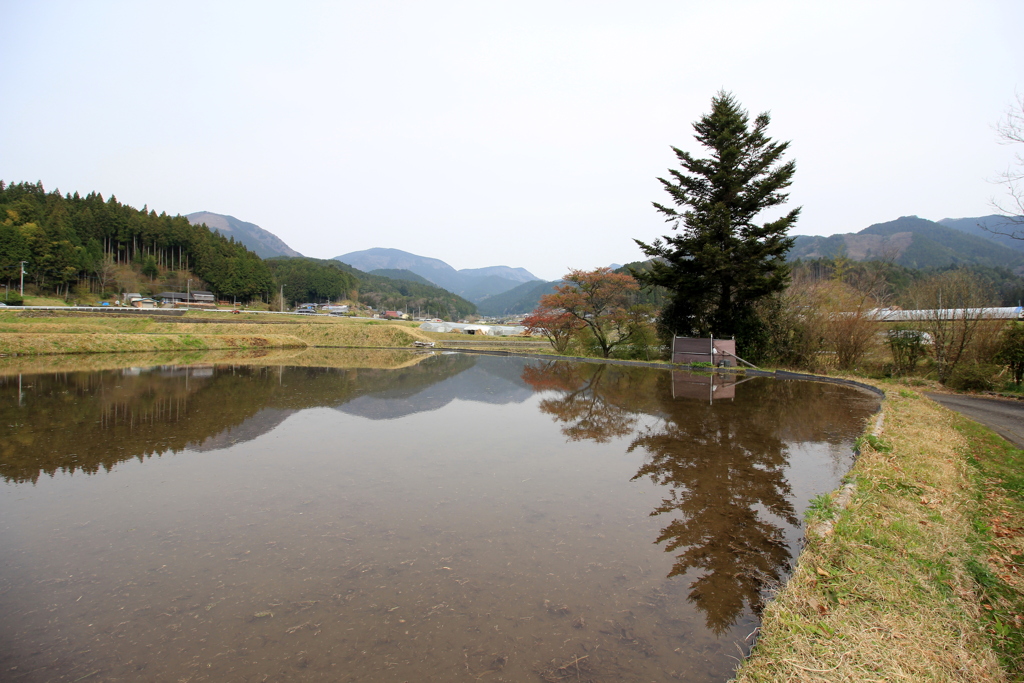 『里山の風景』