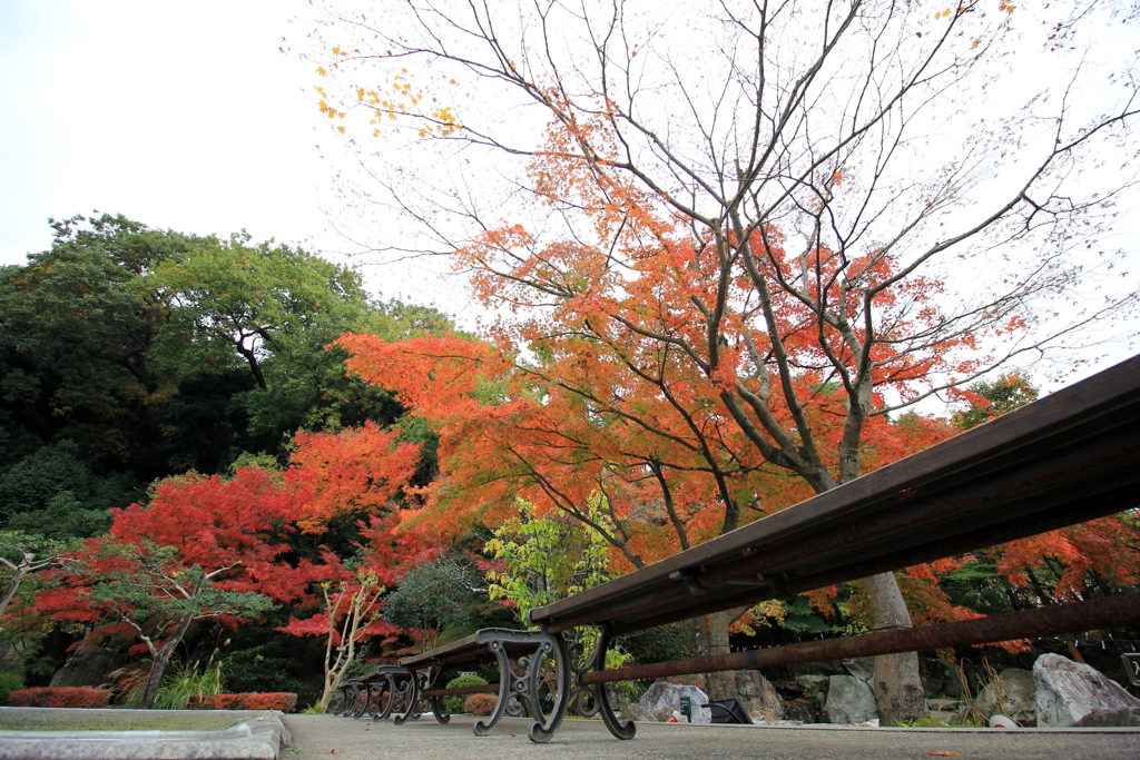 『松山城×二の丸庭園②』