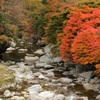 清流×紅葉×子供たちと^^