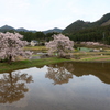 『里山×桜×眺める^^』