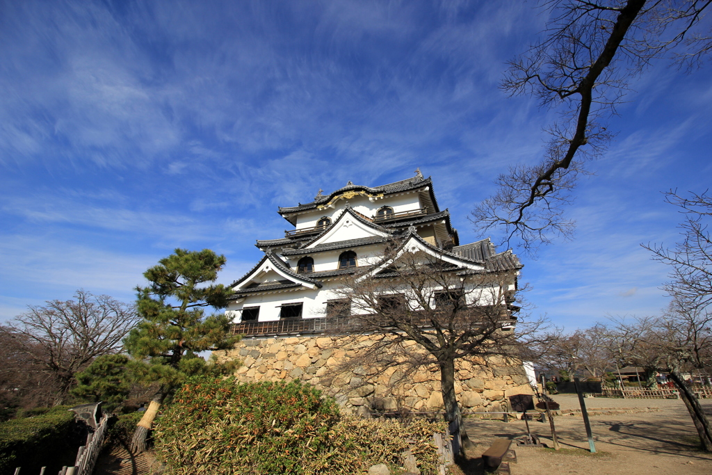 『彦根城×青空』