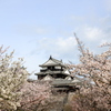 『松山城×桜^^』