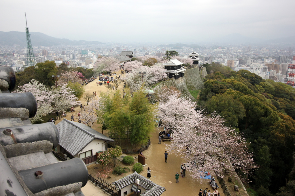 『松山城×景色』