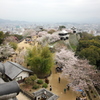 『松山城×景色』
