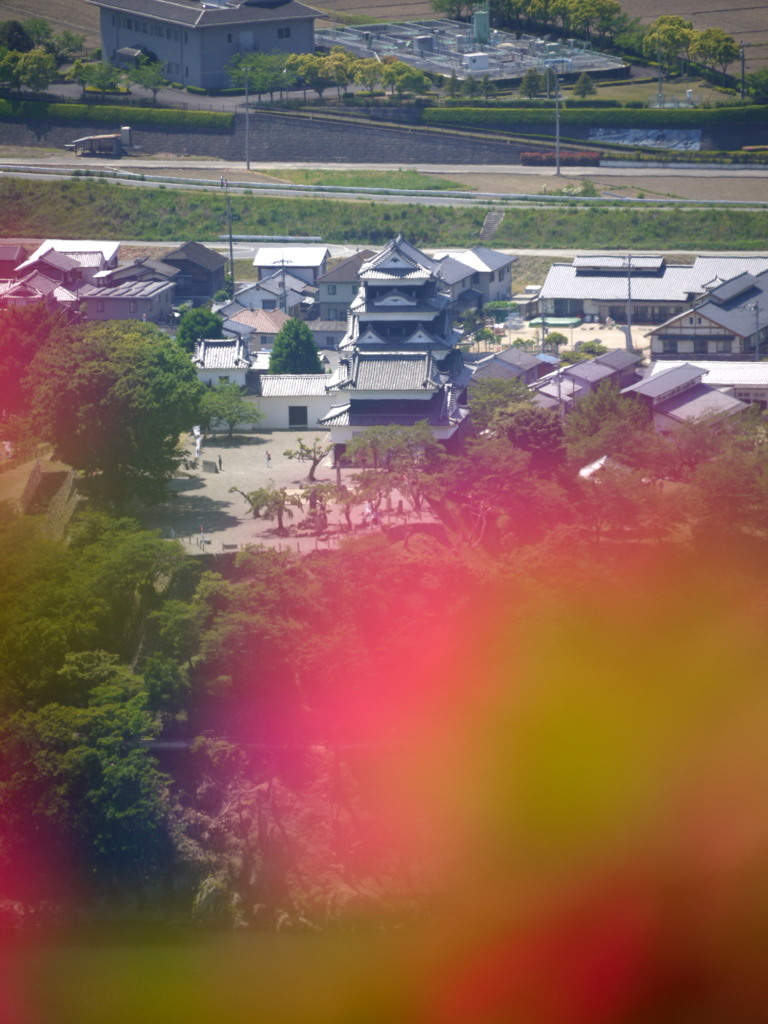 『大洲城〜花びらフィルター』