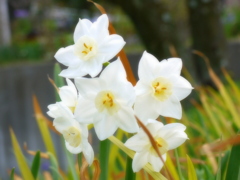 私たち綺麗。。。