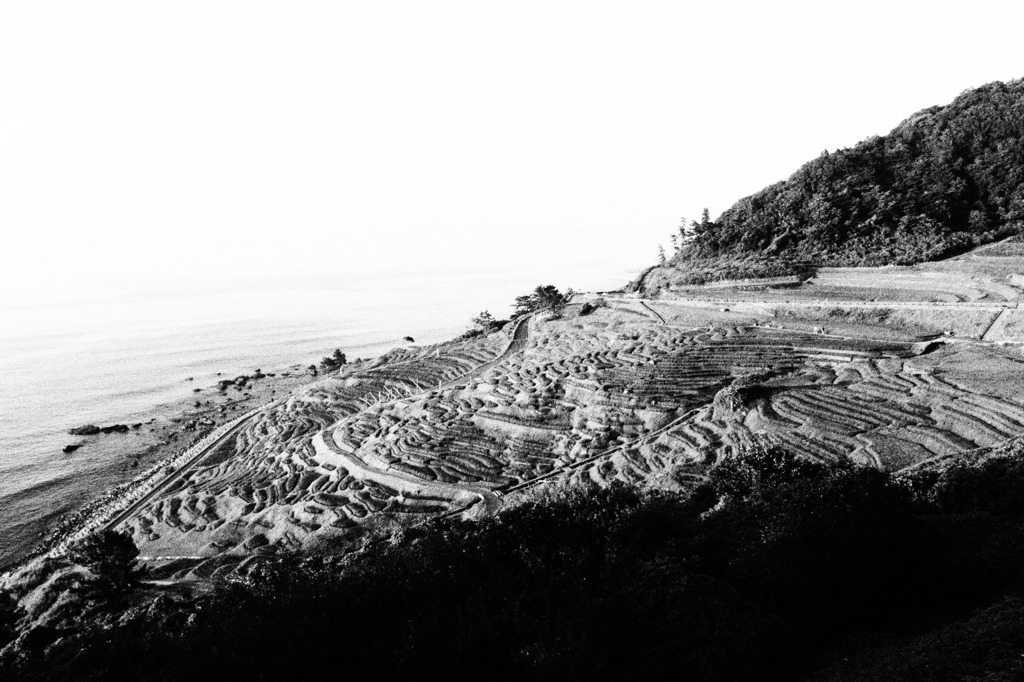 P7160169
