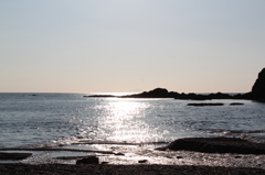 輝く海